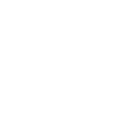AI Experts